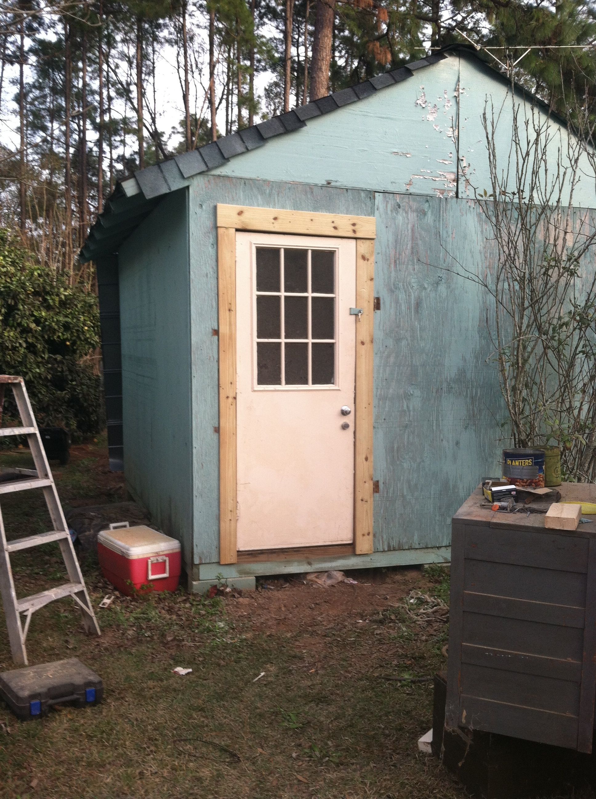 Old shed turned chicken coop BackYard Chickens Learn How to Raise