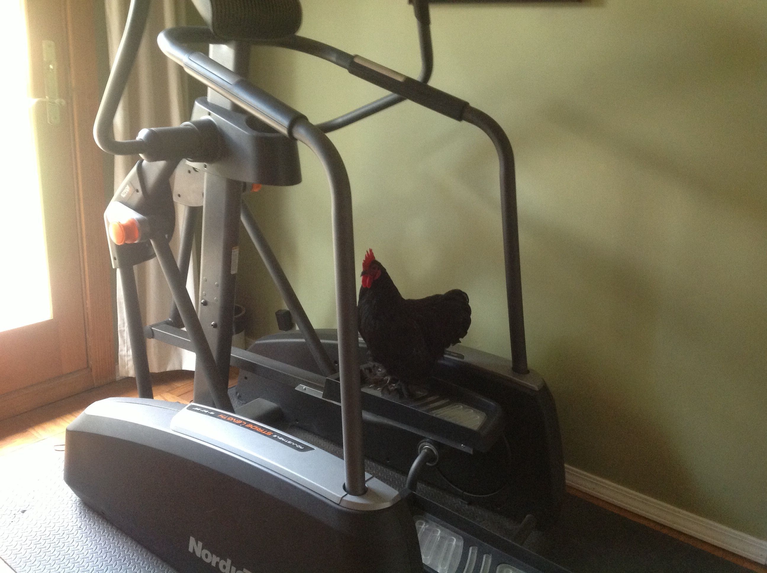 Oliver getting in a little exercise!!