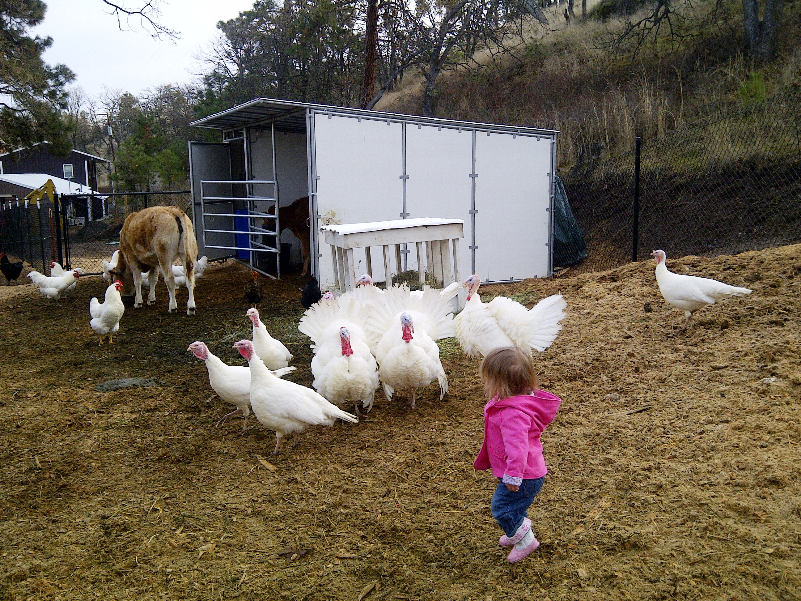 Omeg Orchards