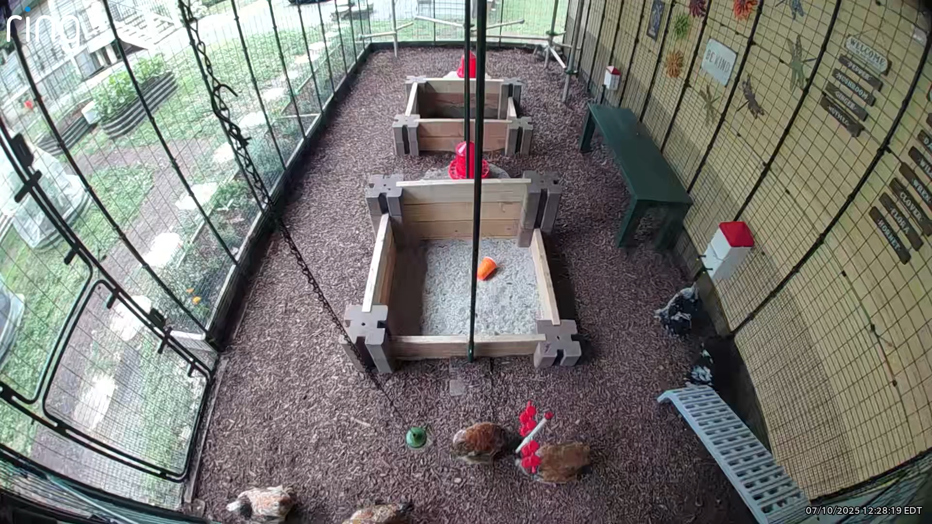 Omlet Run - Camera View