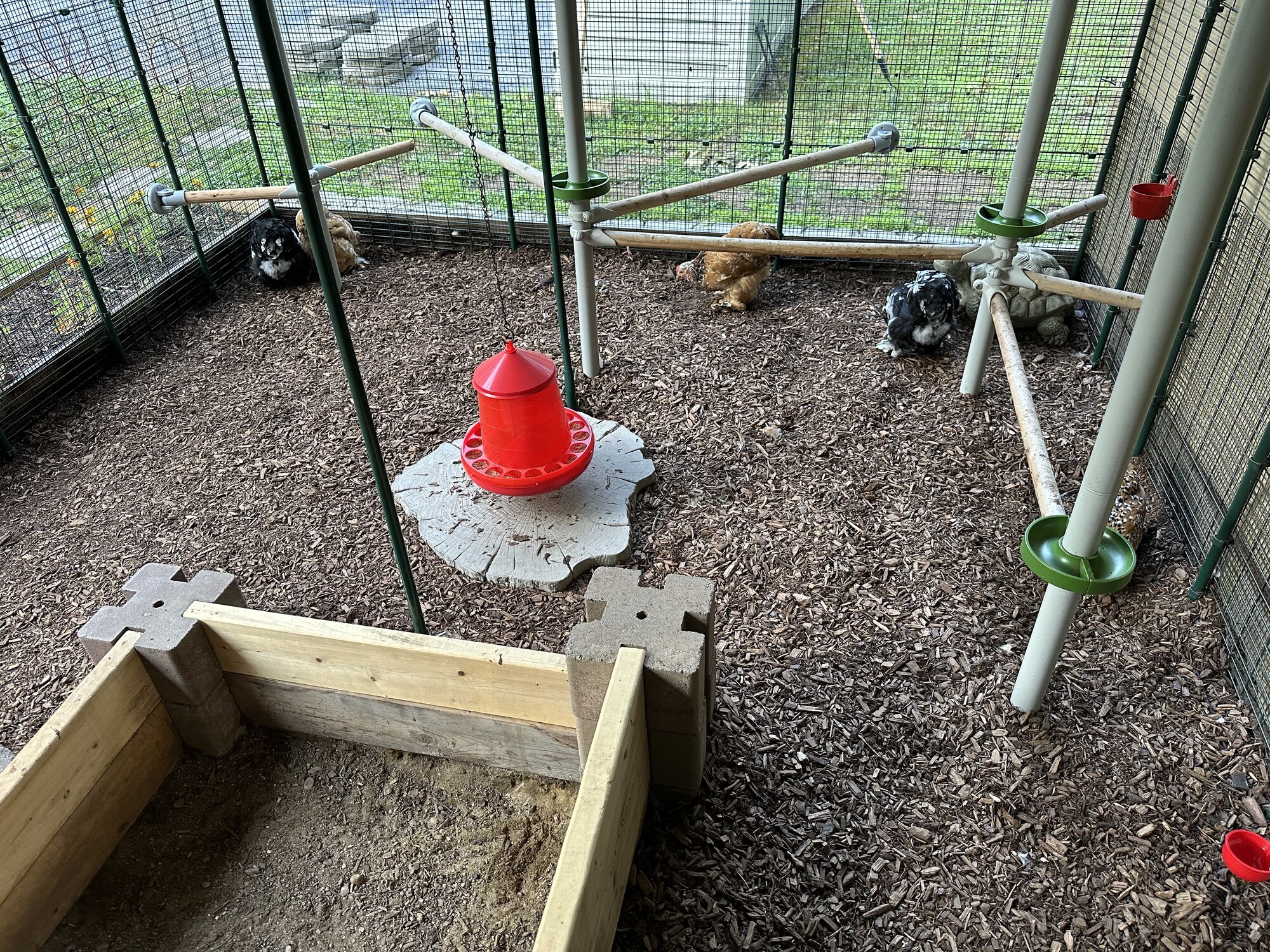 Omlet Run - Pole Tree