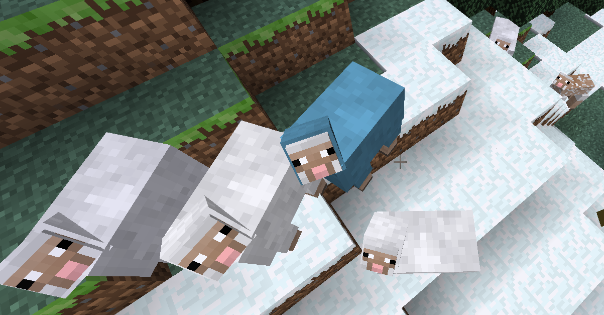 On a trek with Mr. New Sheepie and some friends