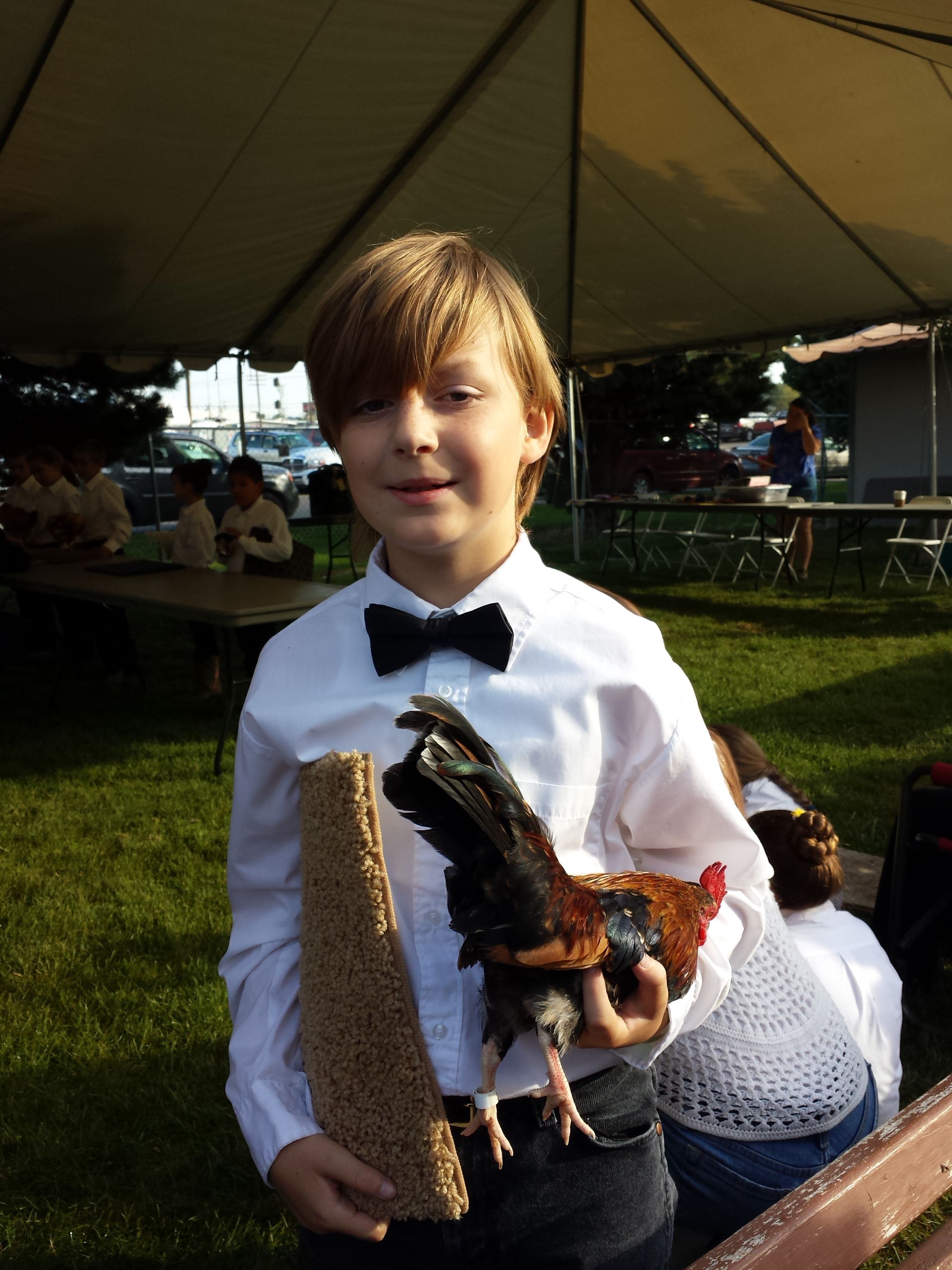 On deck and ready for his Junior showmanship class, July 2015,
with Groot.