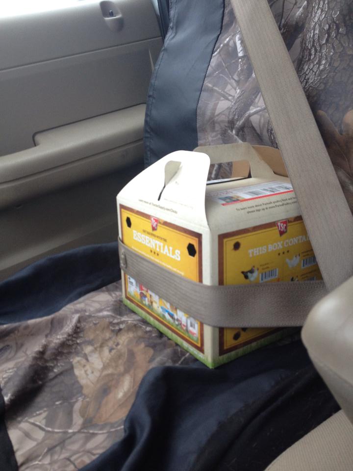 On the way home, safety first :)