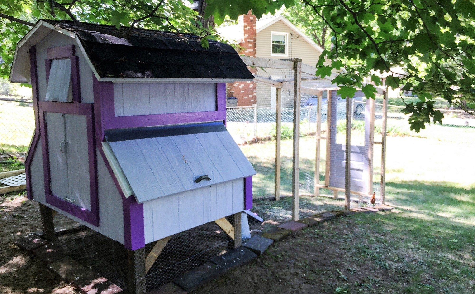 On this side of the coop I have a large storage area for feed, tools, and other chicken needs.