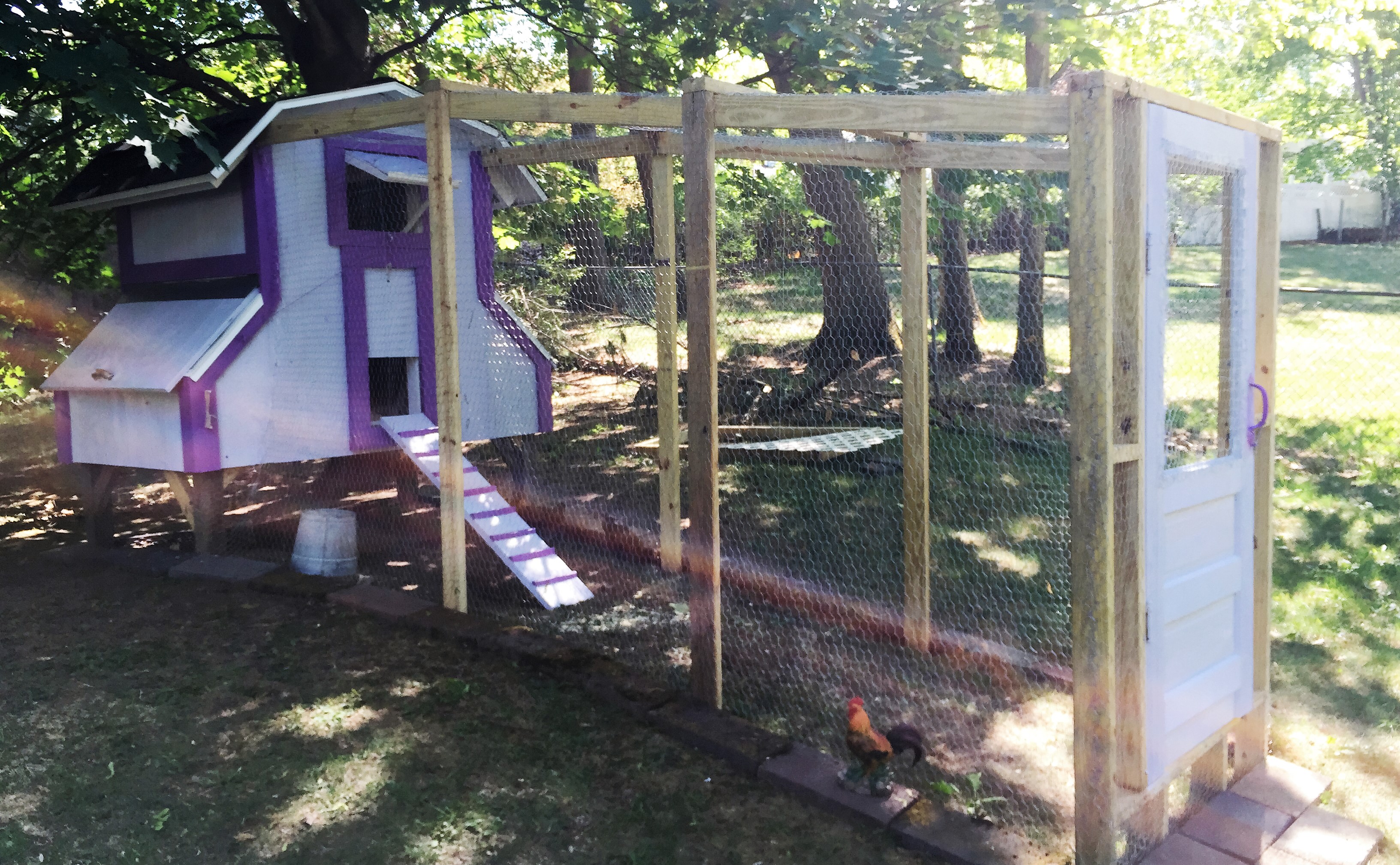 On this side of the coop there are 3 private nest boxes that are accessible by lifting the door by its handle.