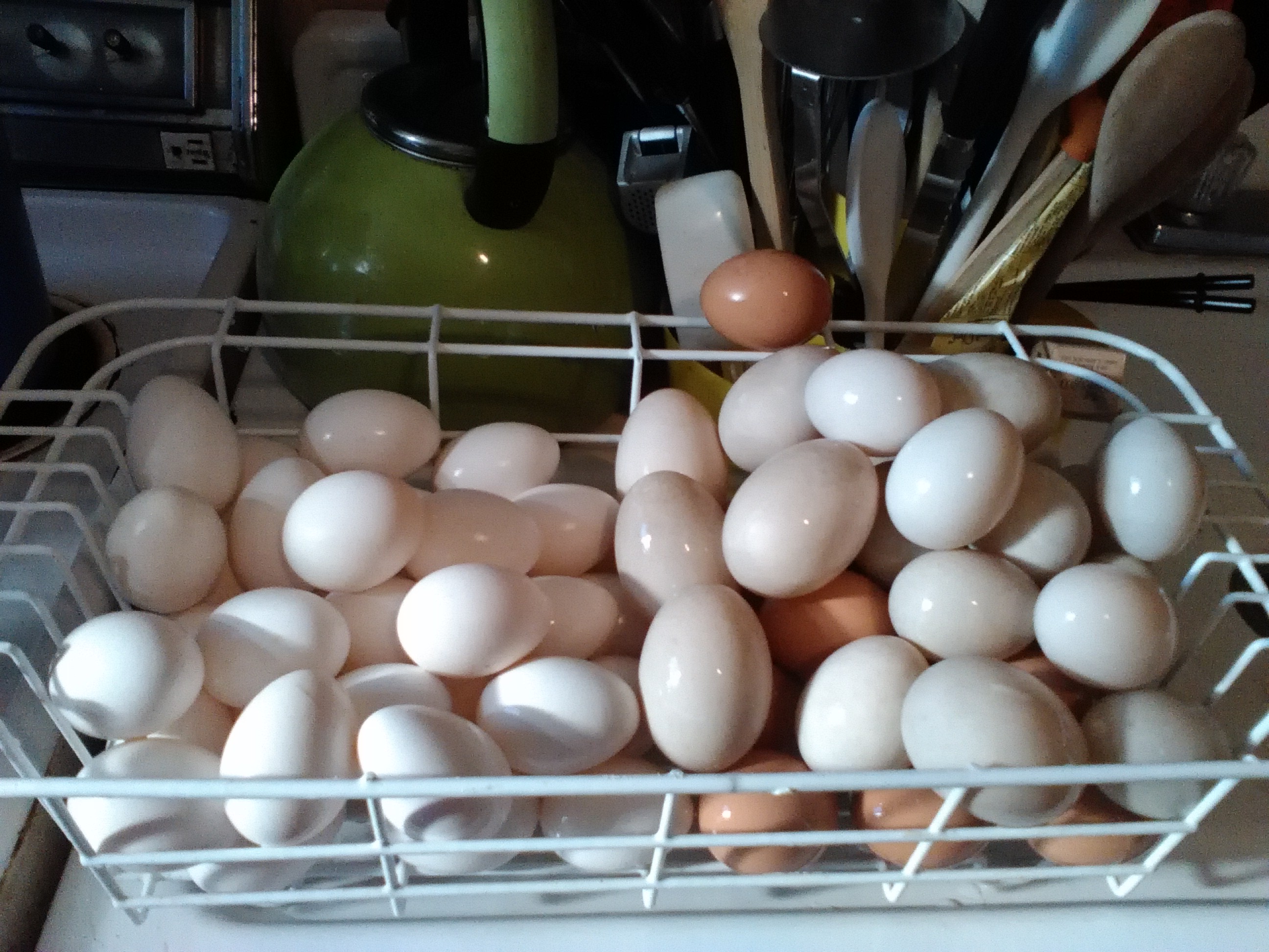 One big pile of (cleaned) eggs. This was before I understood about the "Bloom". Now we only wash with a little warm water if they're particularly dirty.