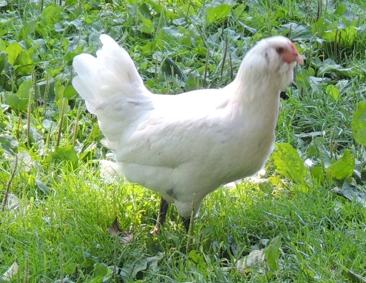 One of Edie's sisters