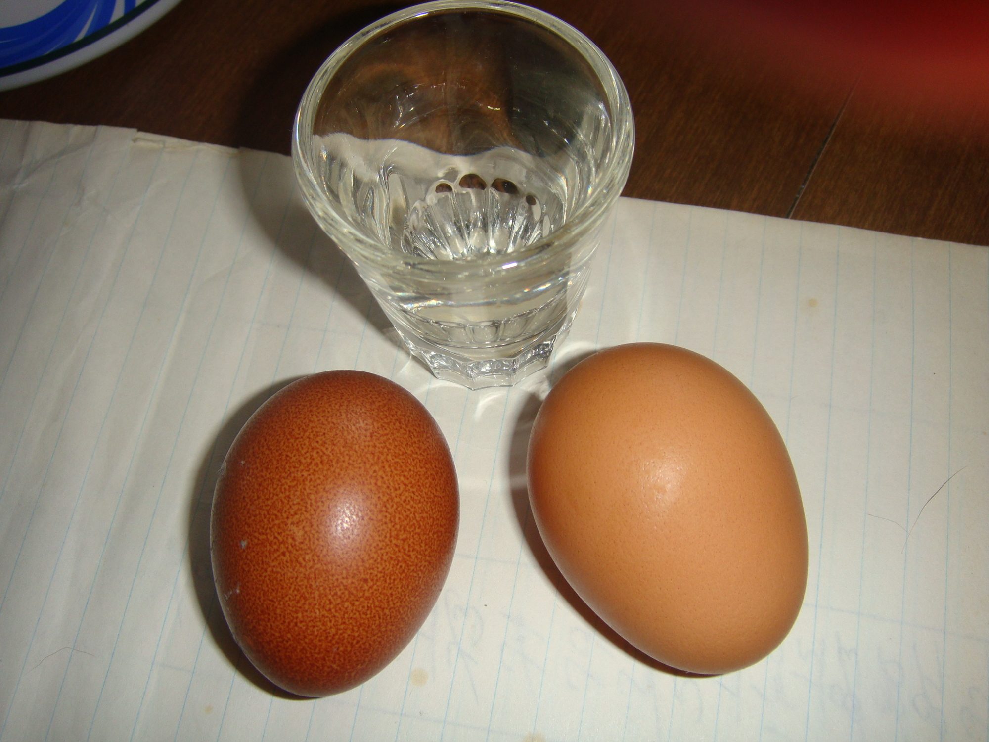 ONE OF FIRST FROM WELLIE PULLET
SHOT GLASS
? EGG