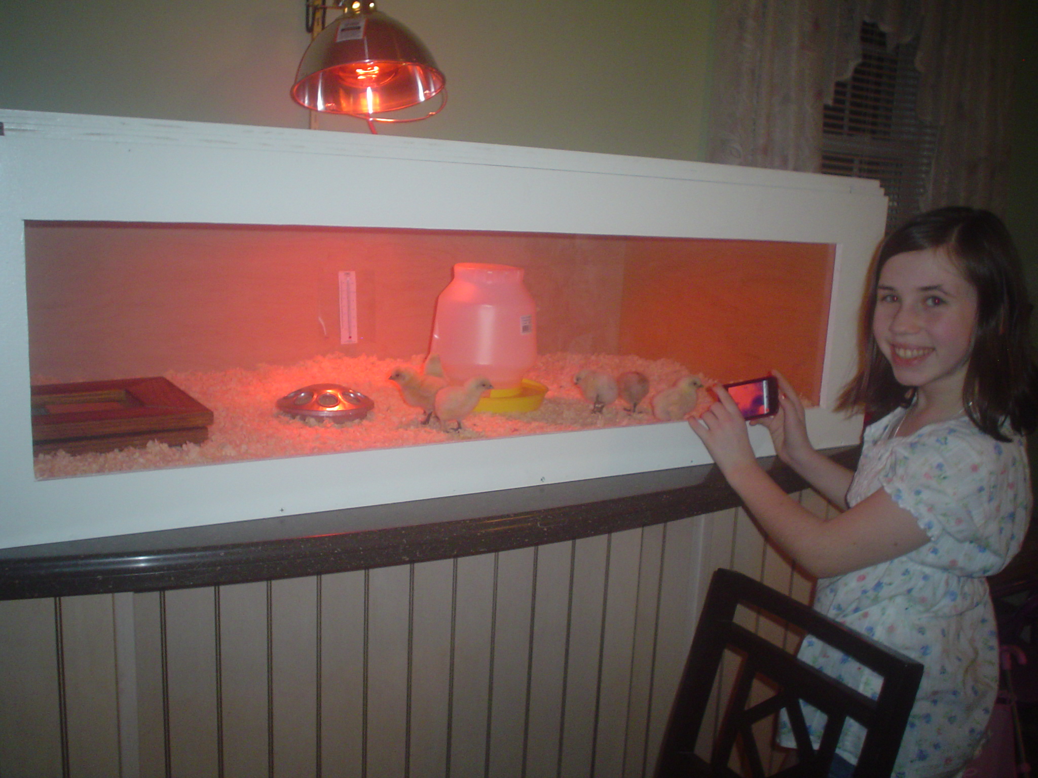 One of my brooders, and Izzy.