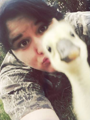 One of my Brown Chinese Goslings named Sergeant! He's a loud little fella!