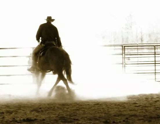 One of my dabbles into photography. This is Roy training another horse.