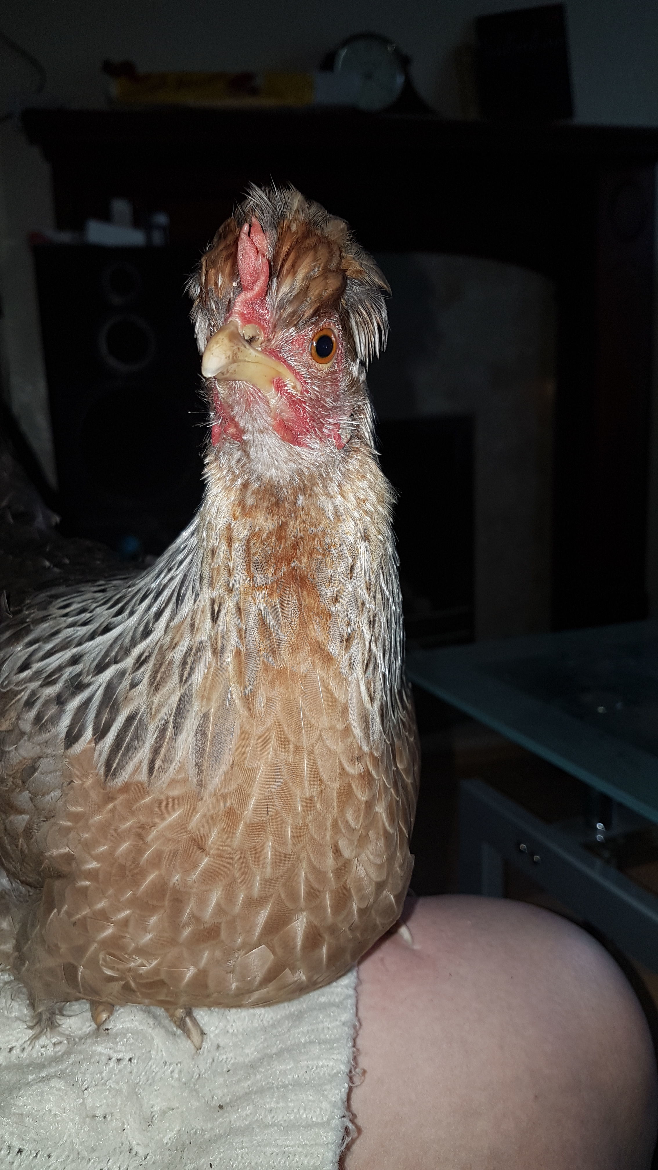 One of my girls