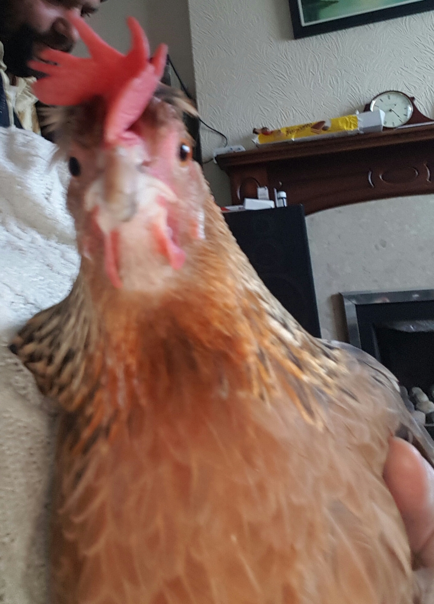 One of my girls