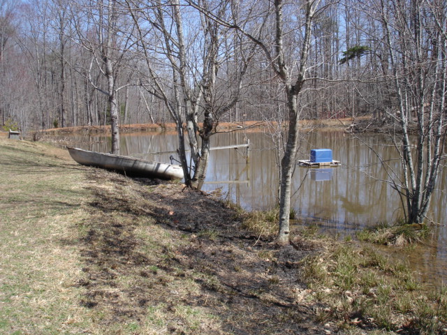 one of my ponds with a floating duck island