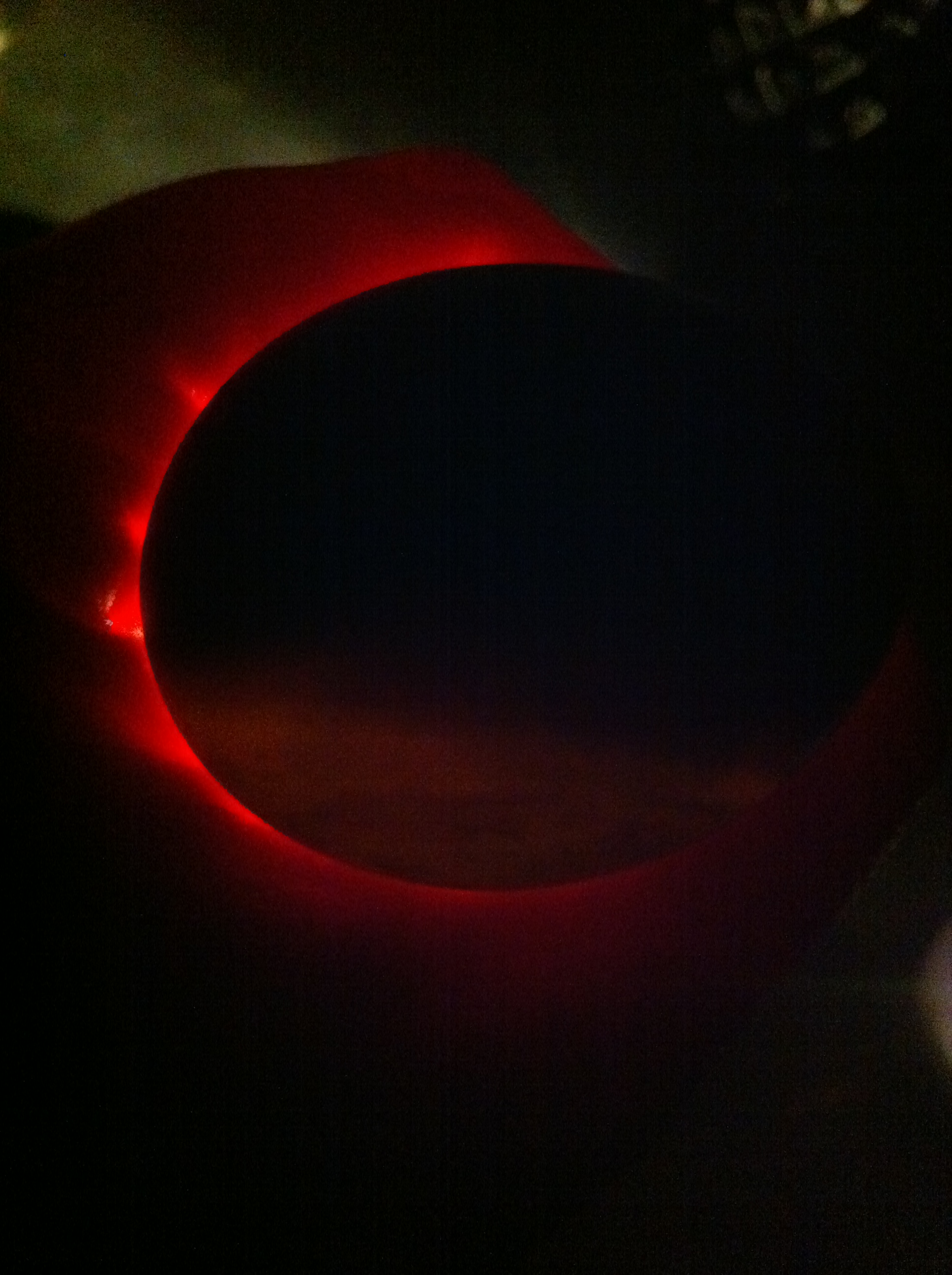 One of Princess Lay-A's eggs we candled.