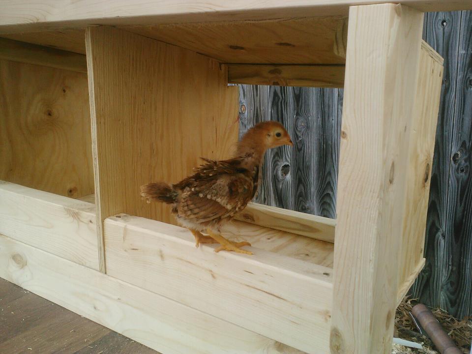 *
One of the gals inspecting my work.