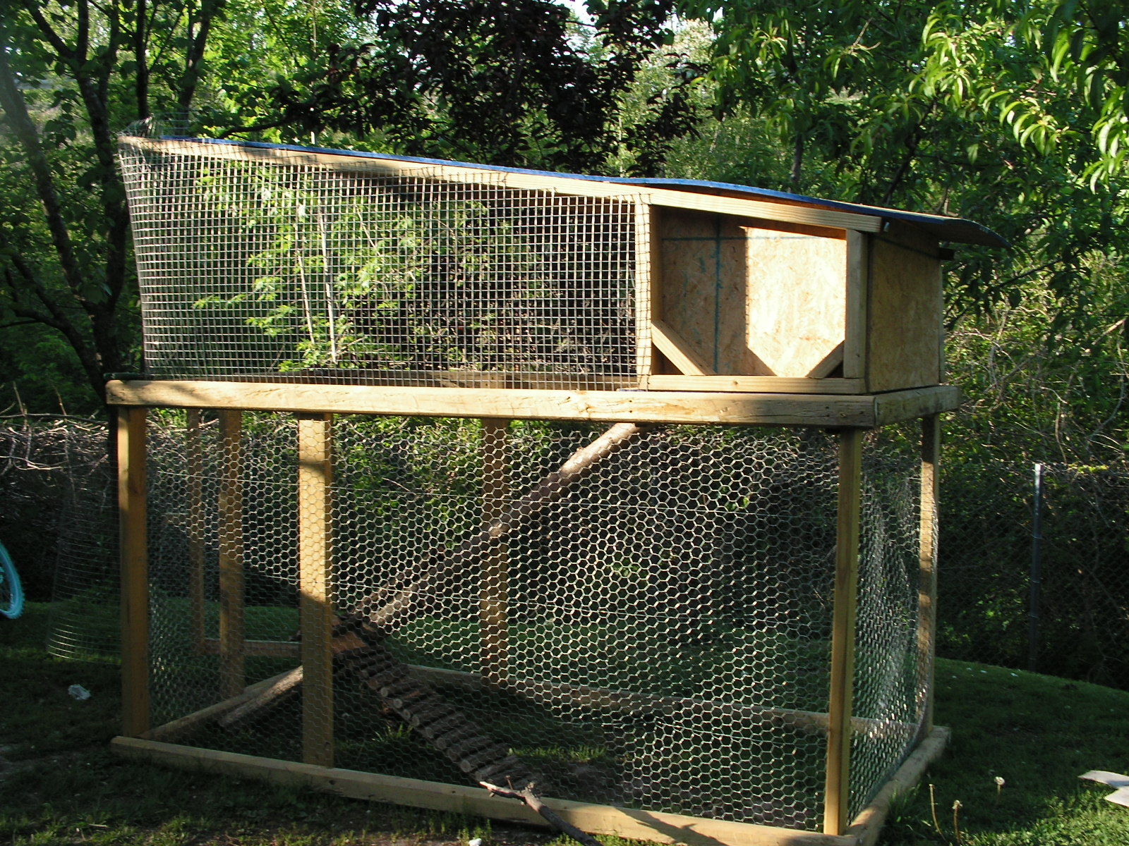 One of the new coops my hubby is building... he just gets these ideas and goes with it!