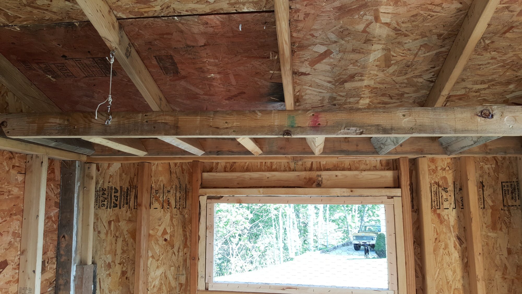 One of the roosting bar ladders suspended for easier cleanup out