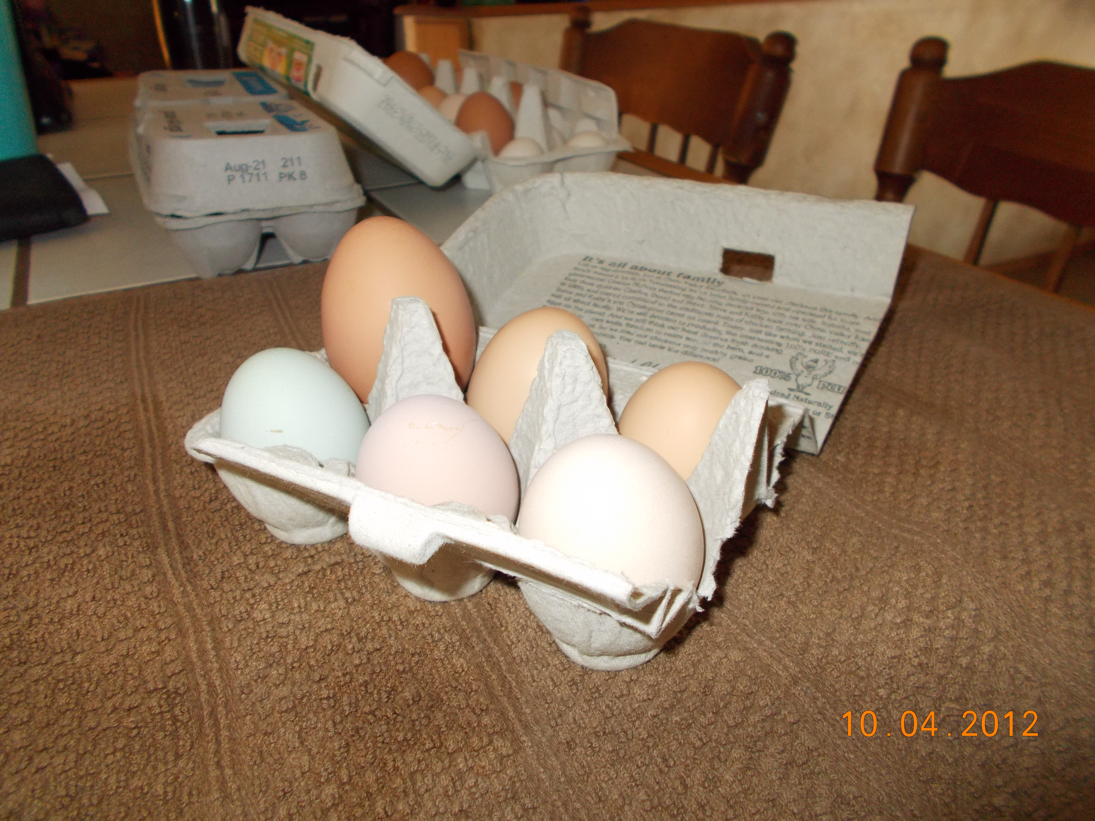One of these eggs is not like the other....Black Mamba's HUGE egg.