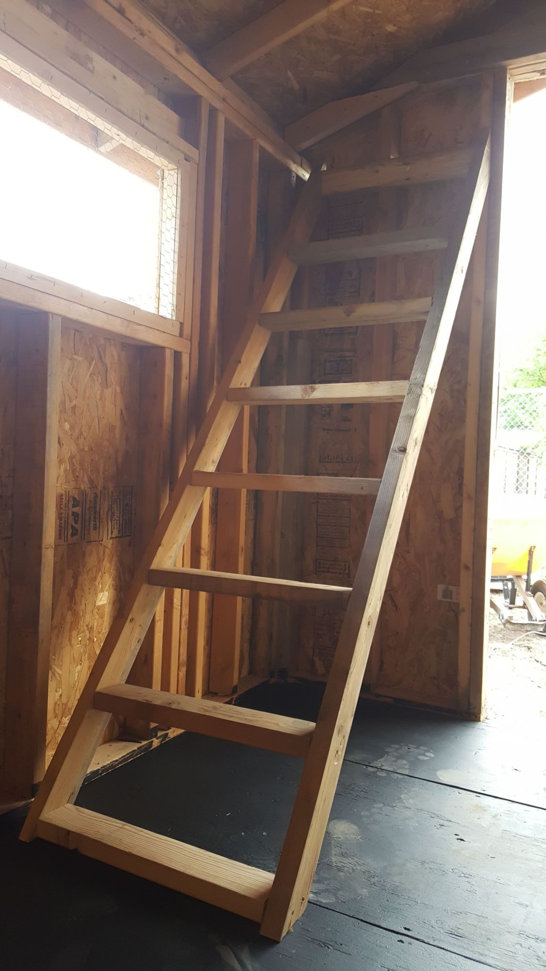 One of two sets of roosting bars, there's another to the right of the door into the coop