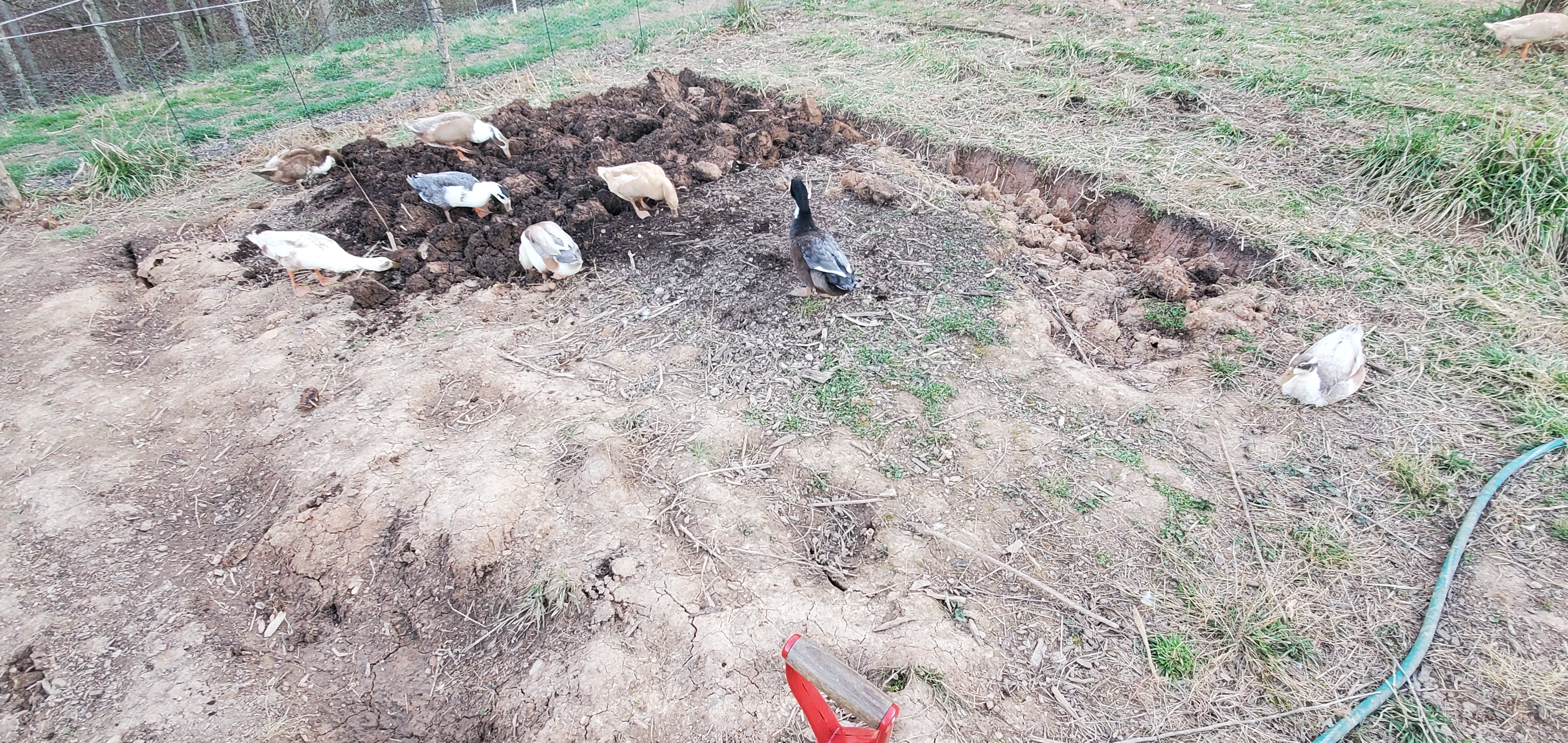 One third of the vegetables bed is done.