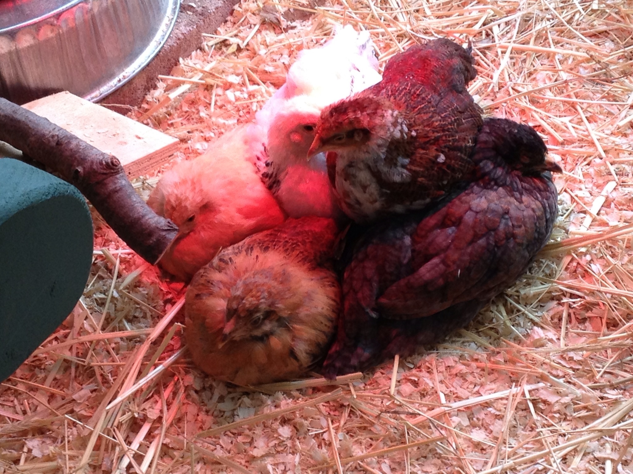 One way to keep warm