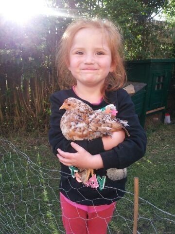 or niece with one of our pekin bantams