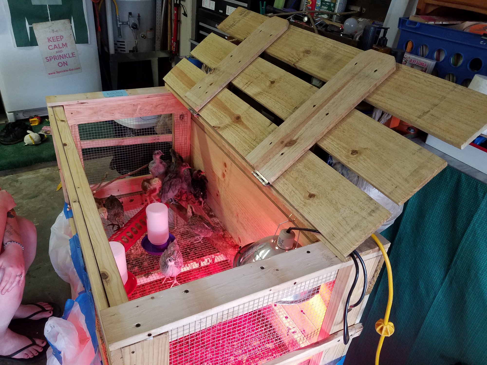 Original 4'x2' brooder