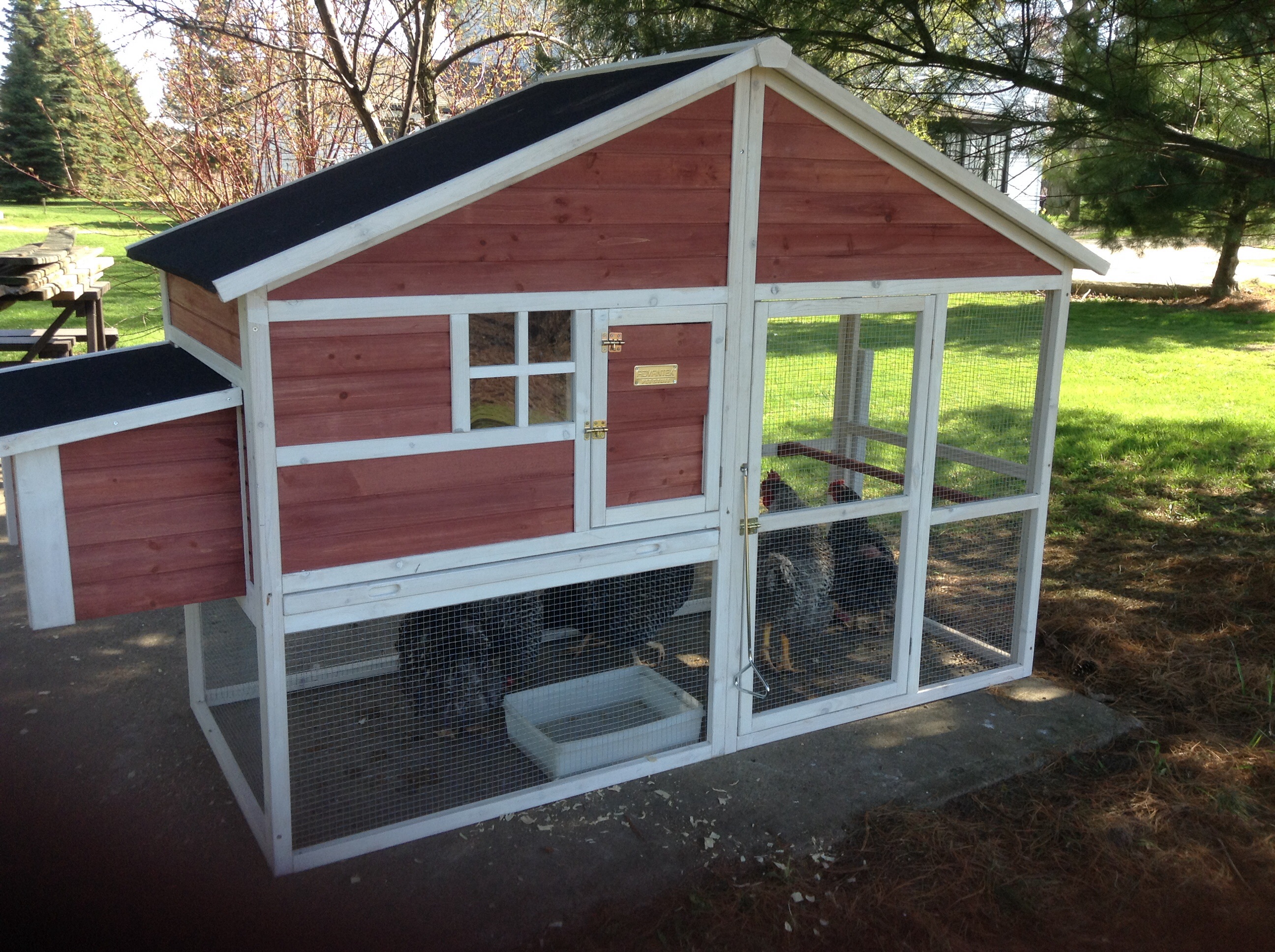 Original coop. Why did I think this would work?