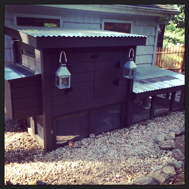 Other than adding some handles, the coop is ready!