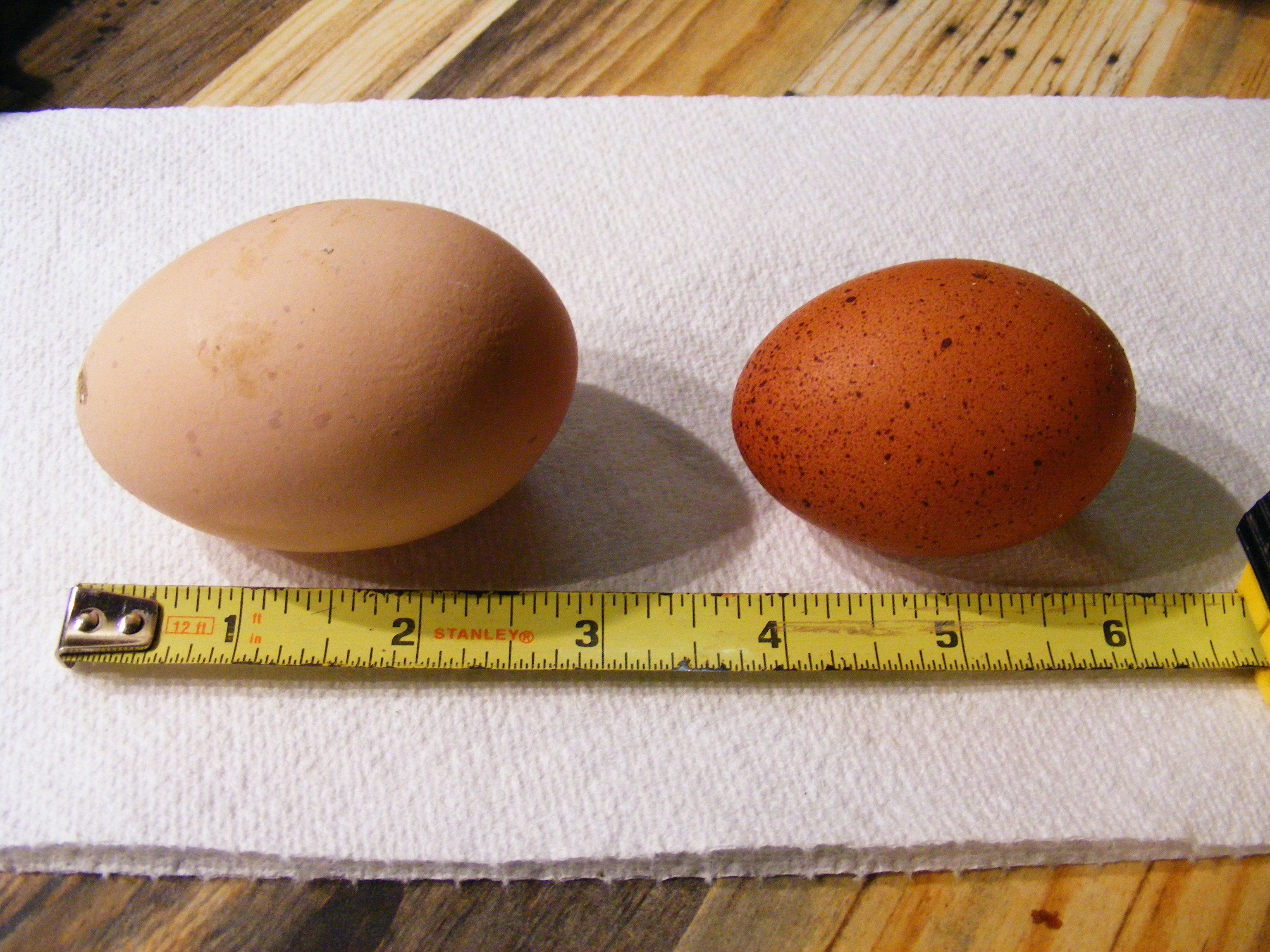 Ouch!! This was a double yolker