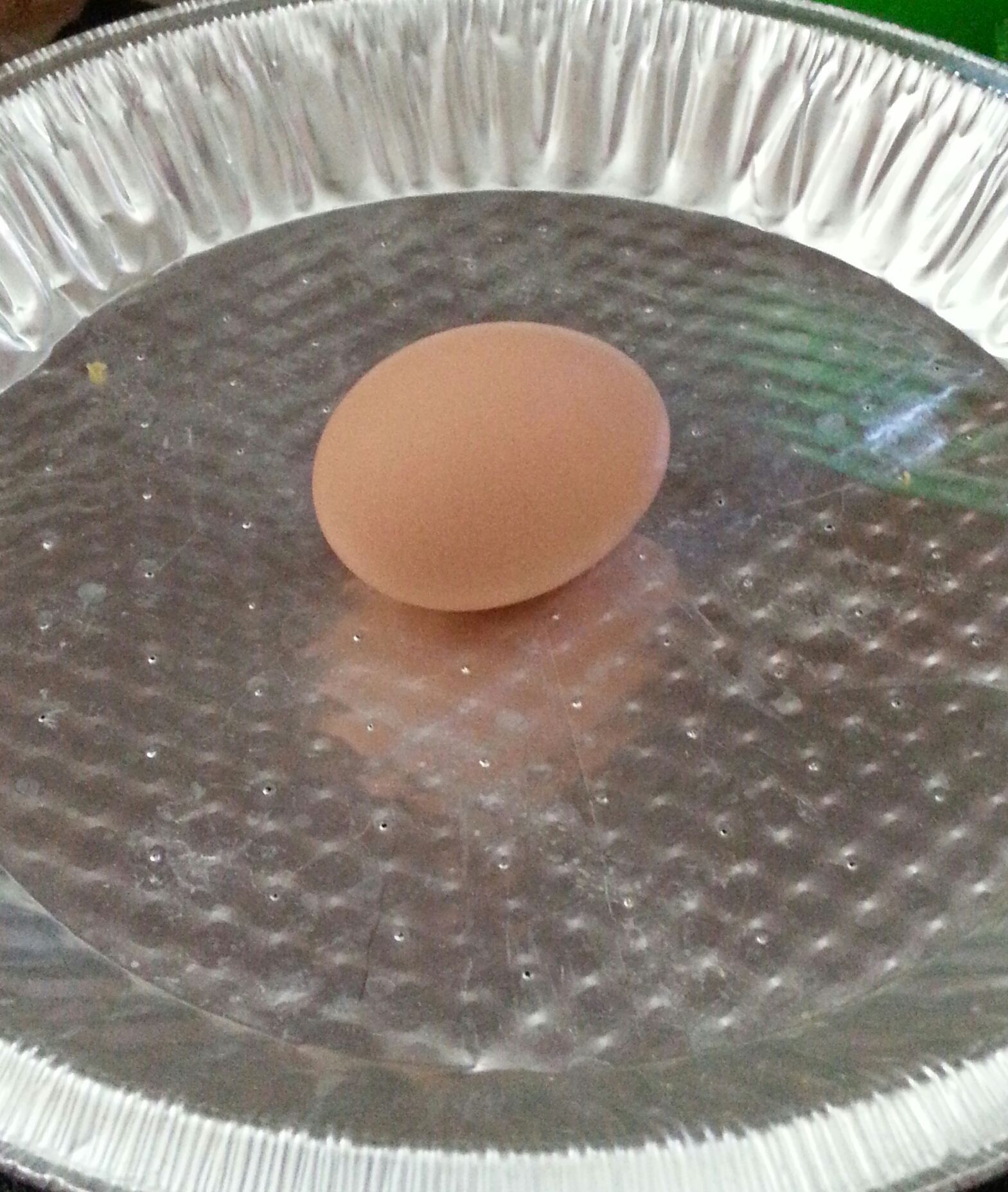 our 1st egg!!!