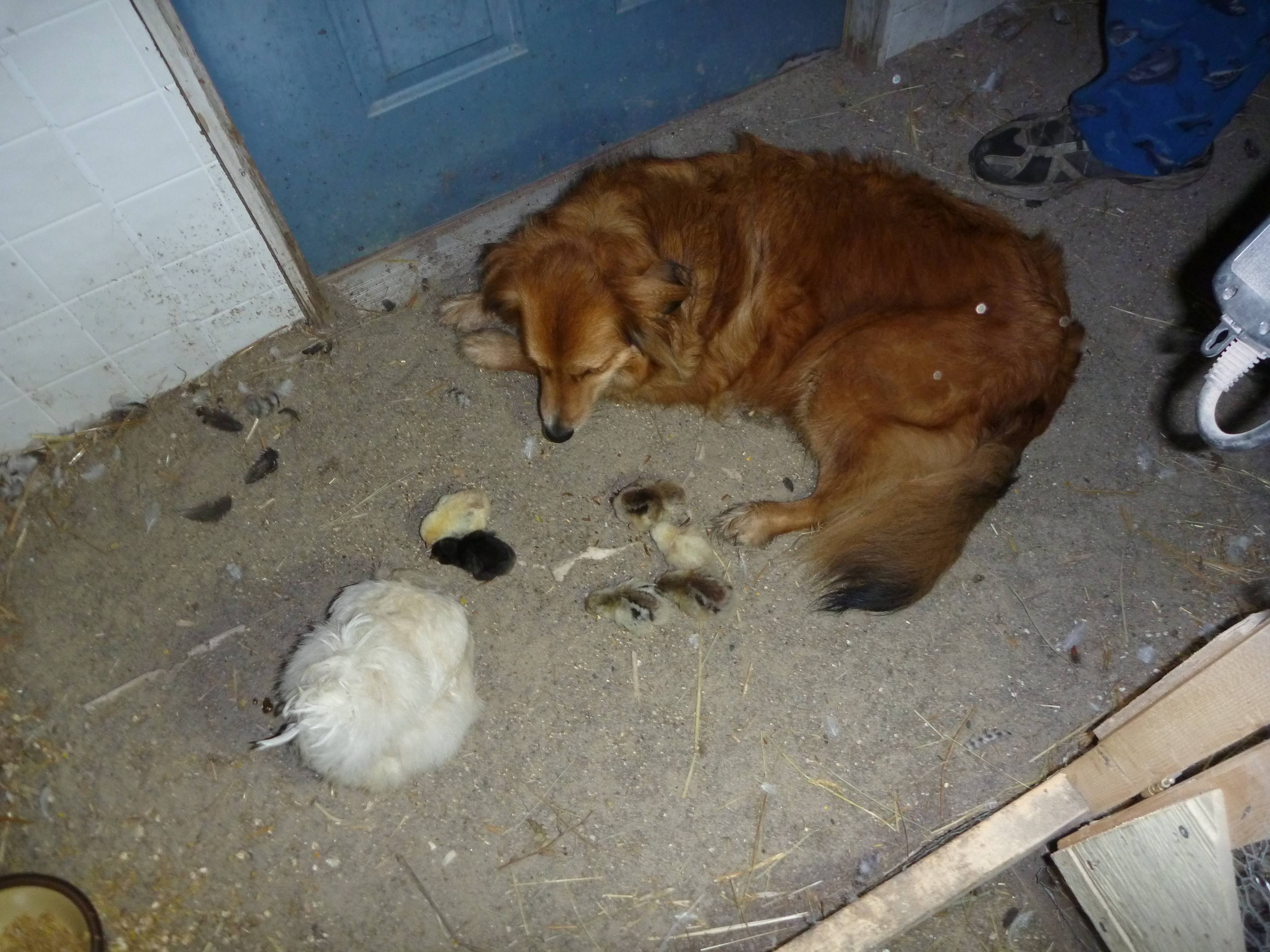 our babysitter, Mindy