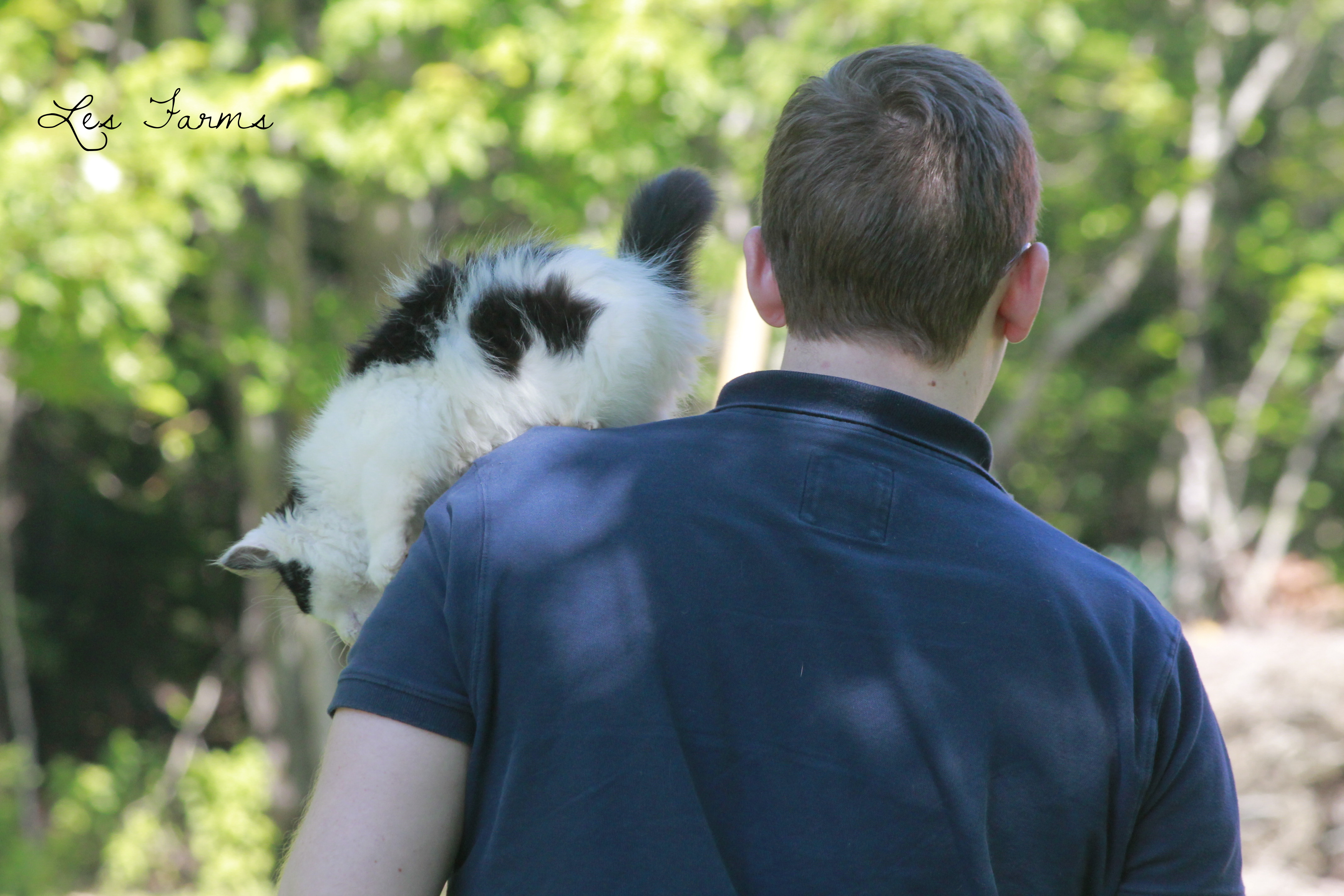 Our barn kitty hanging out on our best friend Dylan's shoulder