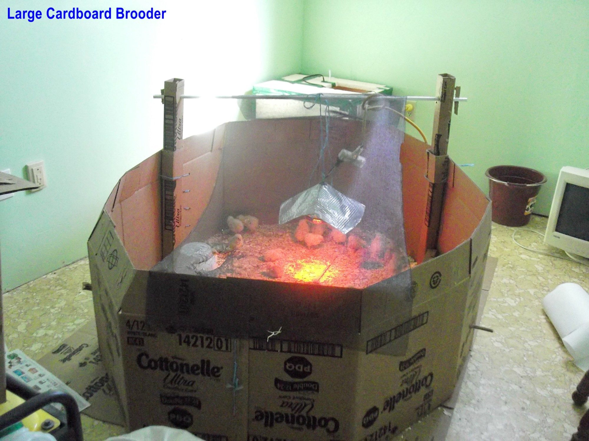 Our brooder takes up a quarter of the room. 3 heavy cardboard boxes