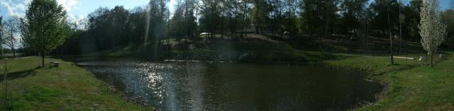 Our catfish pond.
