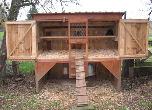 Our chicken coop with the doors open