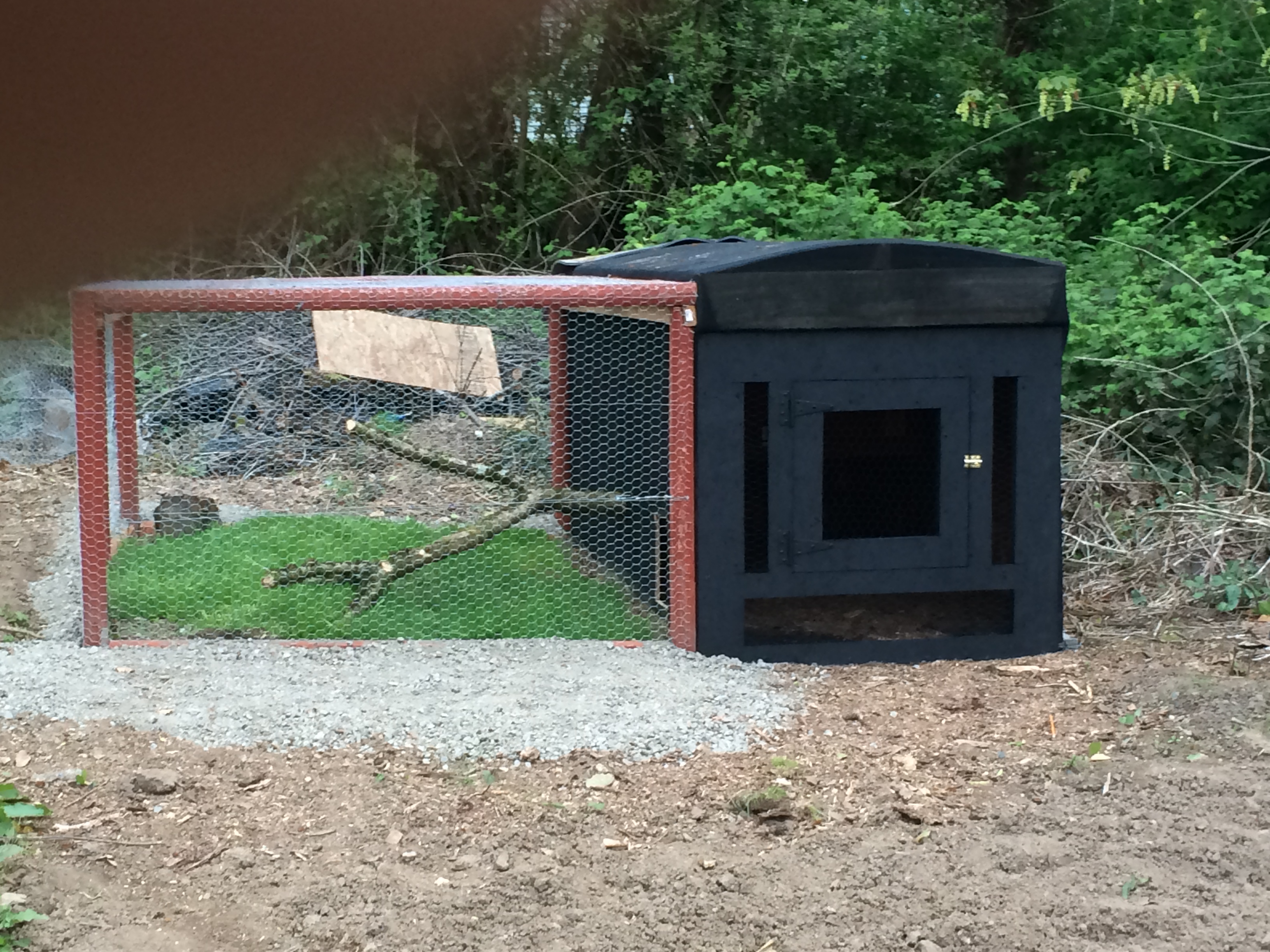 Our Chicken Coupe with attached Run