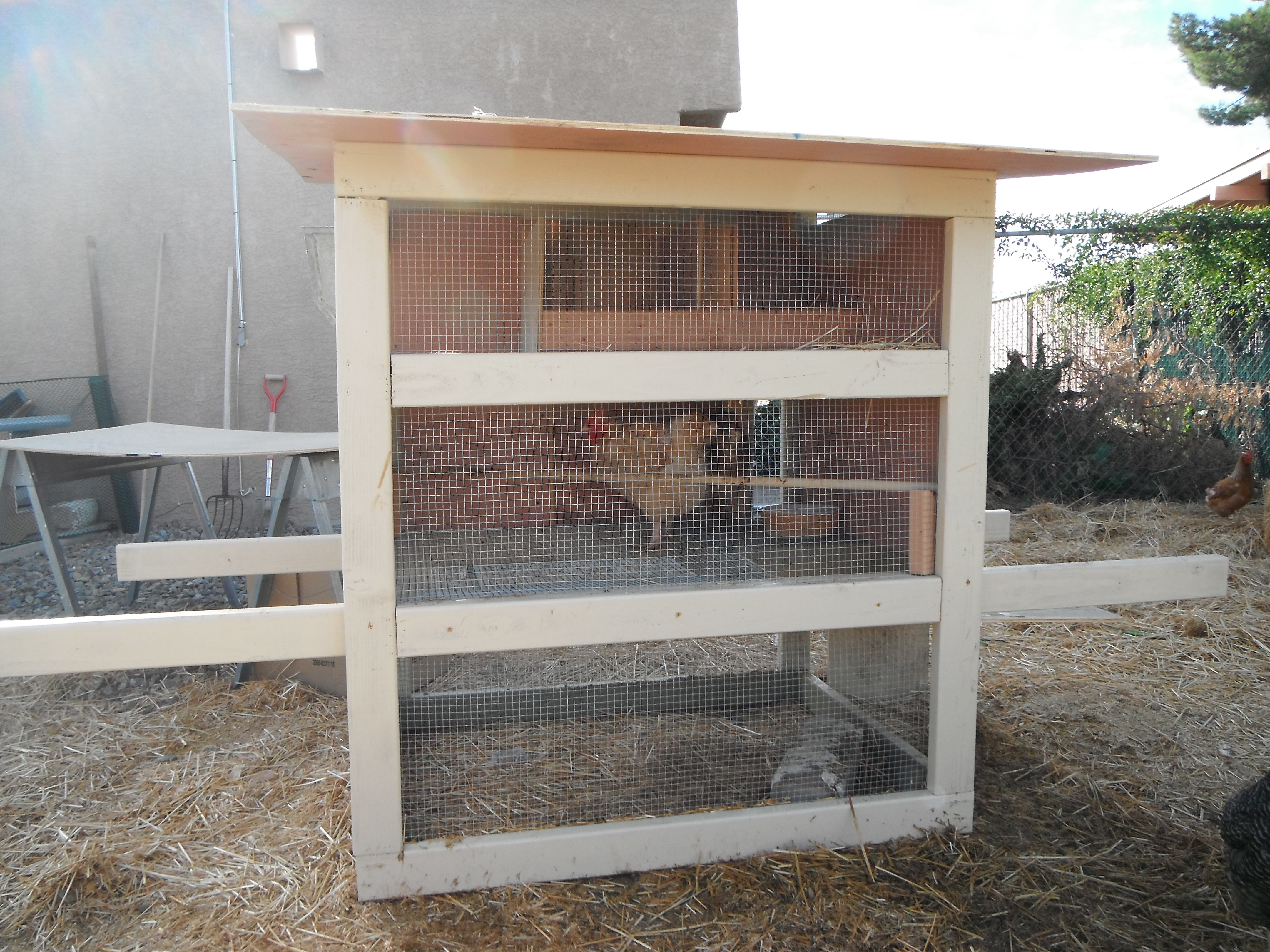Our "chicken litter" has three stories, perch and two nesting boxes. Comfortably holds our 8 standard hens overnight and in bad weather.