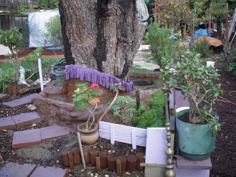 *
Our community features a water garden as well as healthy chickens in a protected free-range open coop where hawks cannot carry them away! The coop is a central feature in our yard back yard, visible just to the left in this photo.