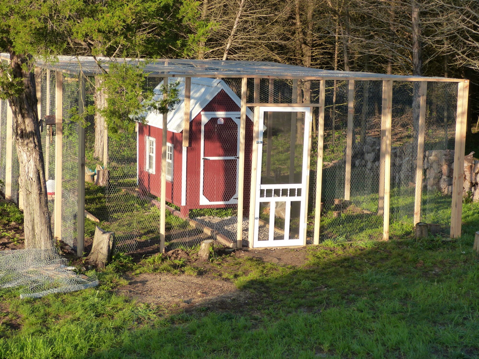 Our coop and enclosure.