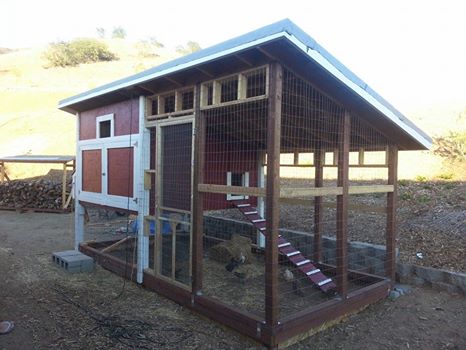 Our Coop and Run. Coop sits on second story above part of the run. 5 week old Easter Eggers and Rhode Island Reds hangin out in the run.