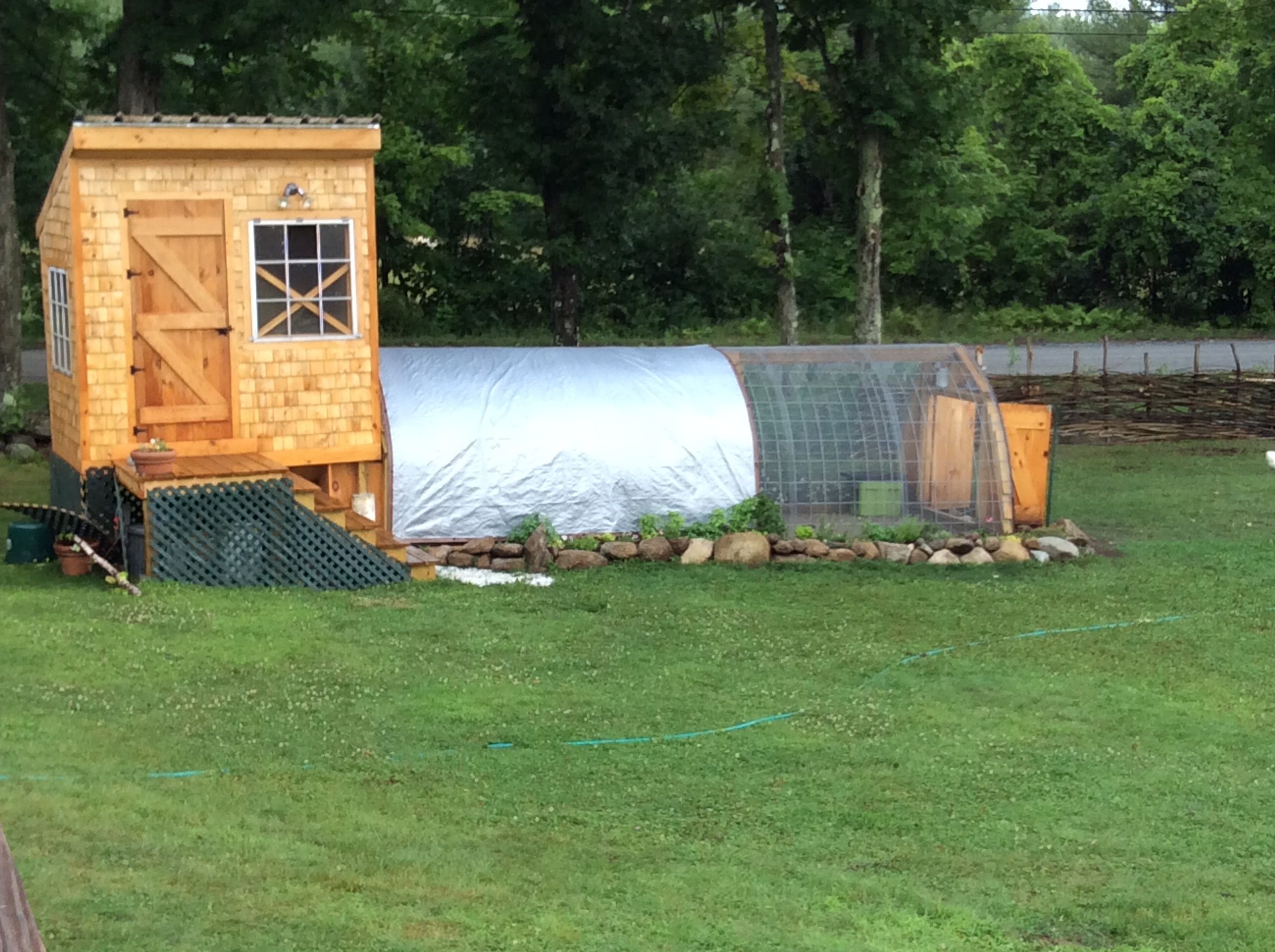 Our coop and run we build this spring. The run is cattle panels squeezed together with hard wear cloth covering the whole thing plus I planted my herd garden around the outside of it for the chickens. So love having the chickens and ducks hour of entertainment . Now just waiting for them to start laying!!