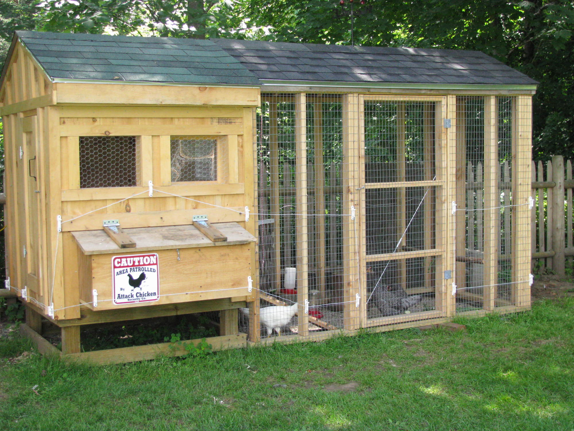 Our coop and run