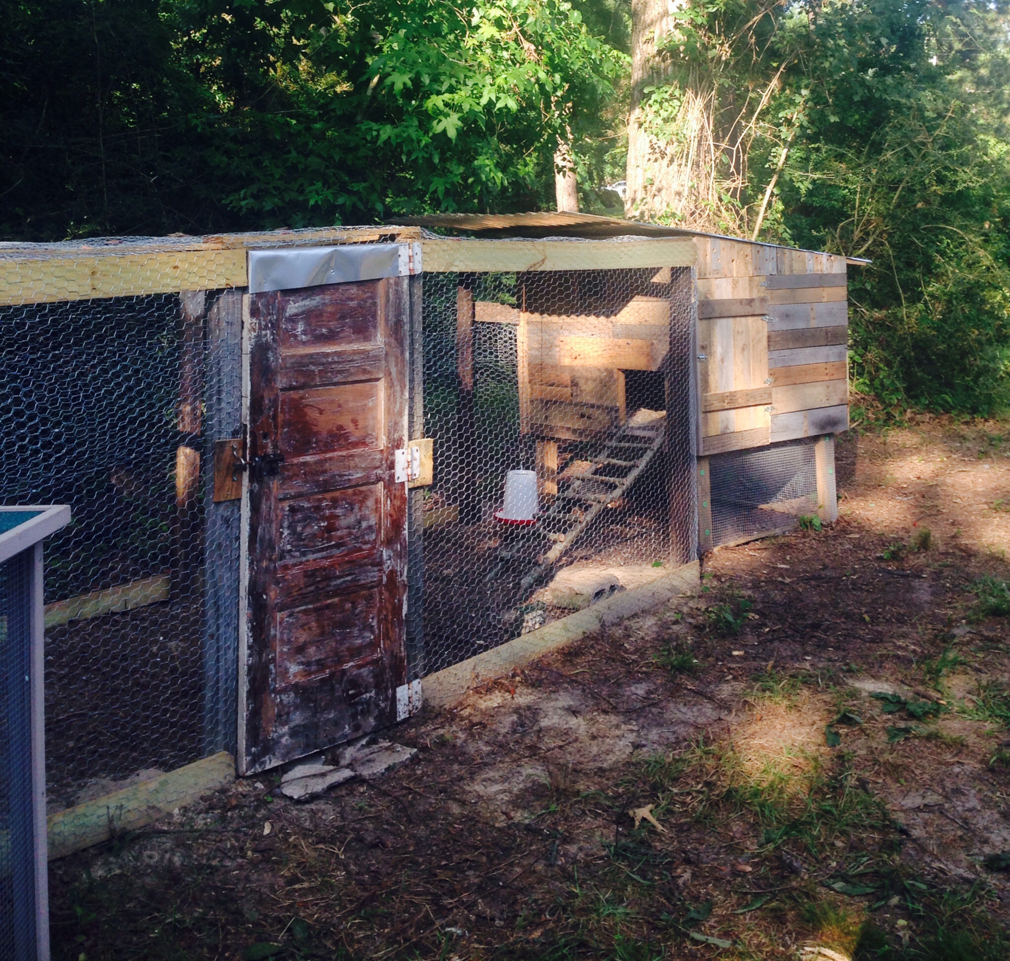 Our coop and yard completed