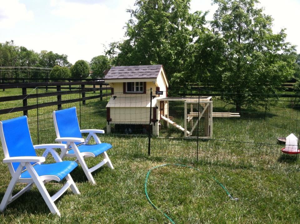 our coop now with Omlet fencing