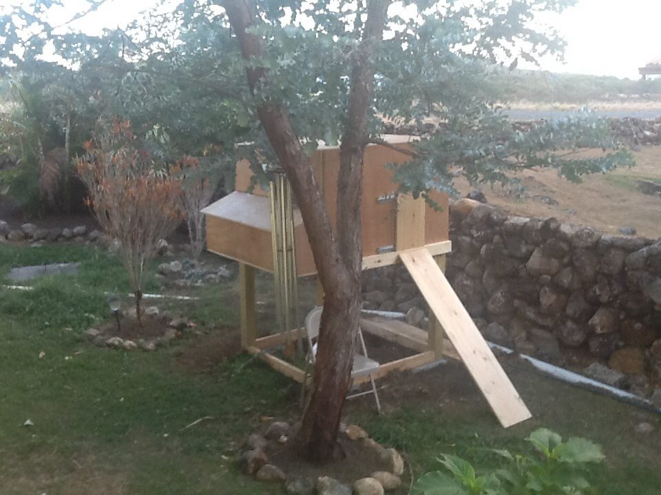 Our coop, under construction