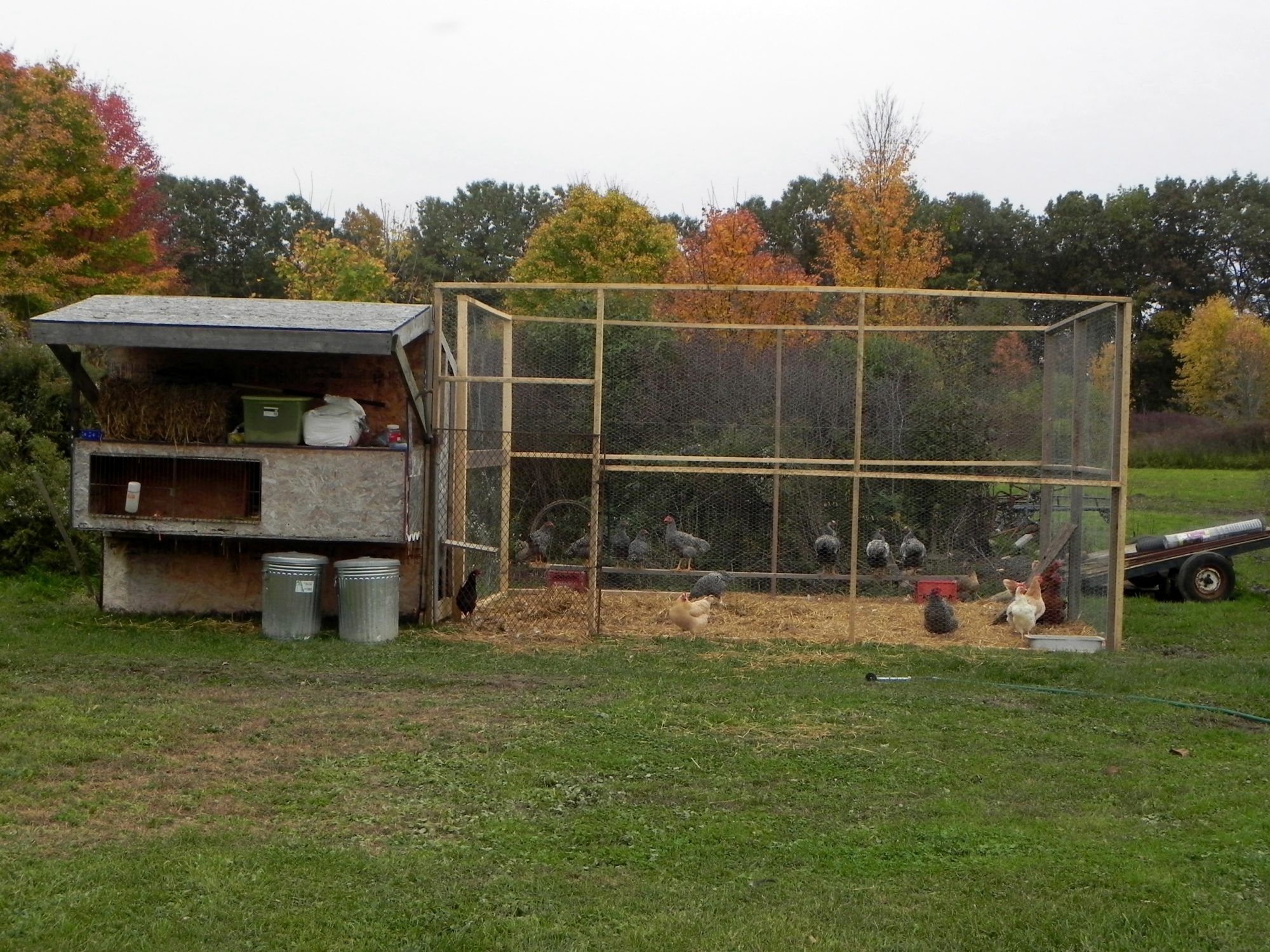 Our coop with run and rabbit hutch on front