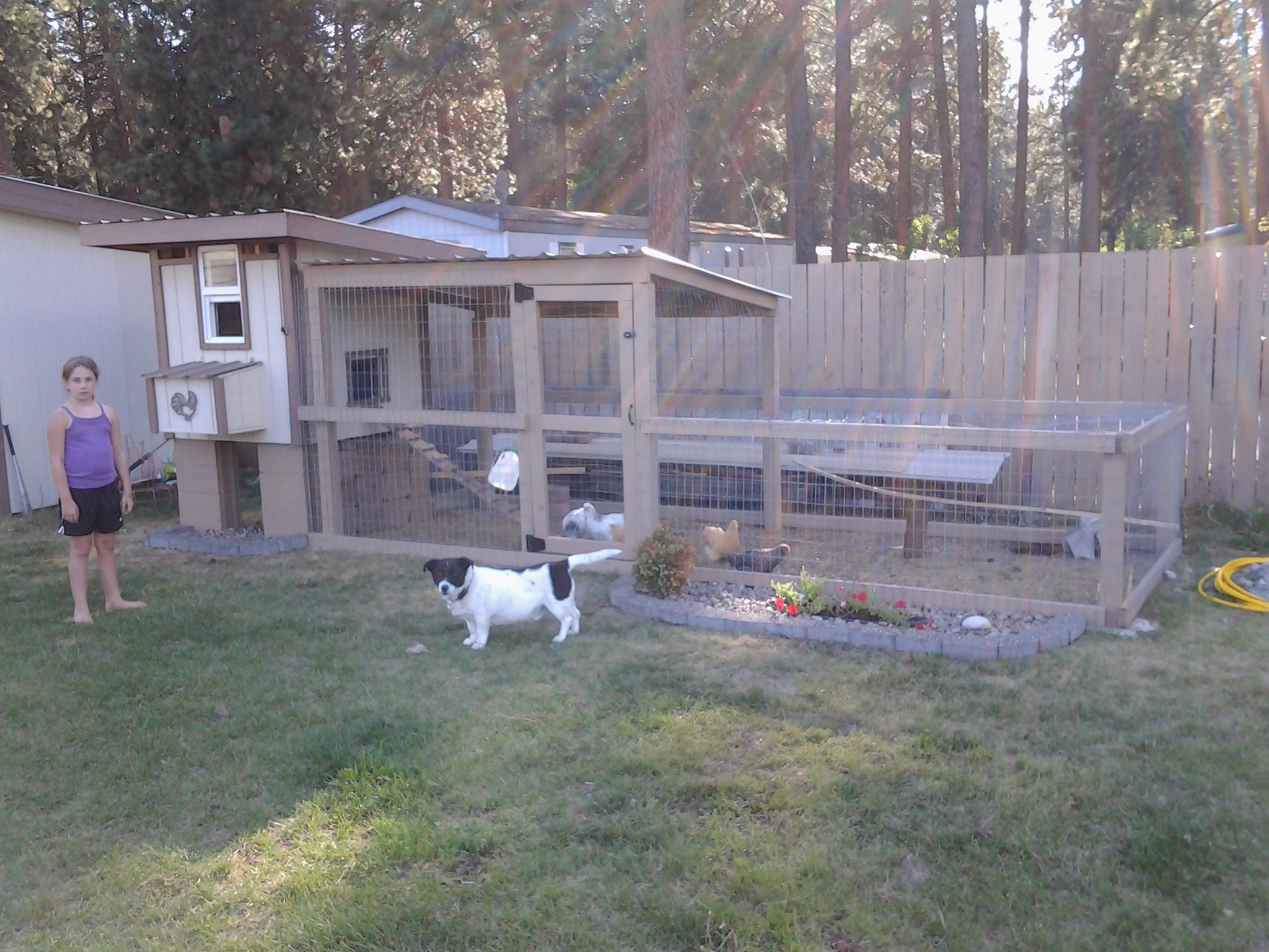 Our dog Duff, who is in this picture, likes to eat chicken poo. It's gross and I'm trying to break him of his new habit.